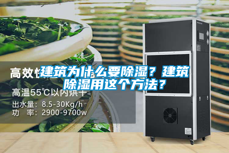 建筑為什么要除濕？建筑除濕用這個方法？