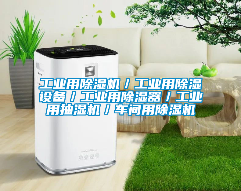 工業(yè)用除濕機／工業(yè)用除濕設(shè)備／工業(yè)用除濕器／工業(yè)用抽濕機／車間用除濕機