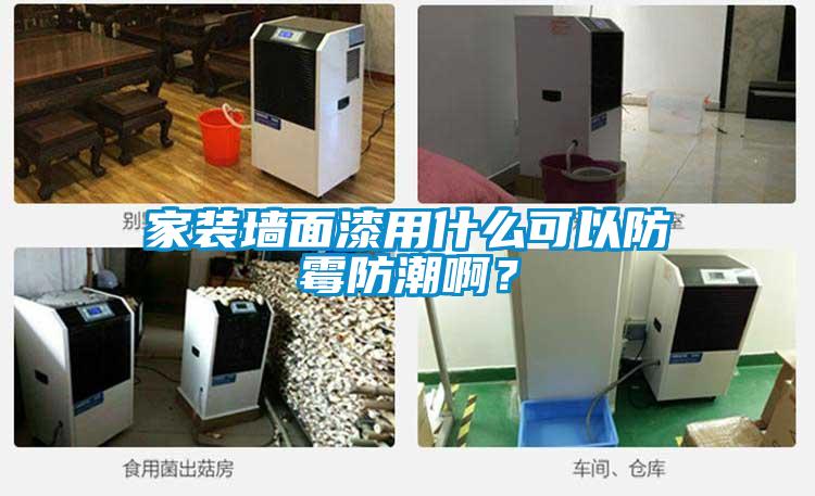 家裝墻面漆用什么可以防霉防潮?。?/></p>
<p style=