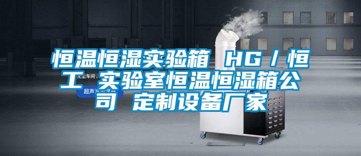 恒溫恒濕實驗箱 HG／恒工 實驗室恒溫恒濕箱公司 定制設備廠家