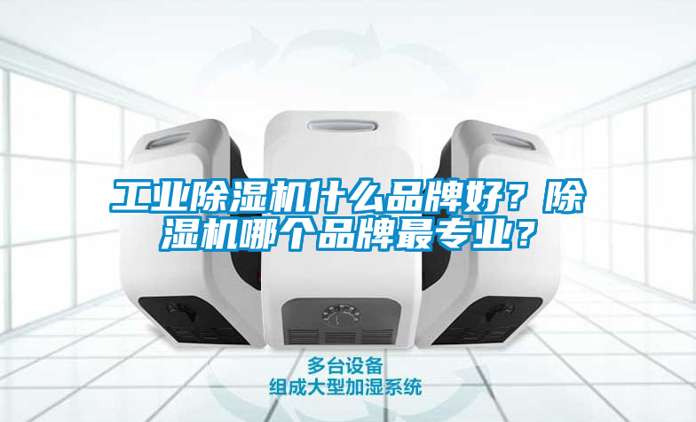 工業(yè)除濕機什么品牌好？除濕機哪個品牌最專業(yè)？