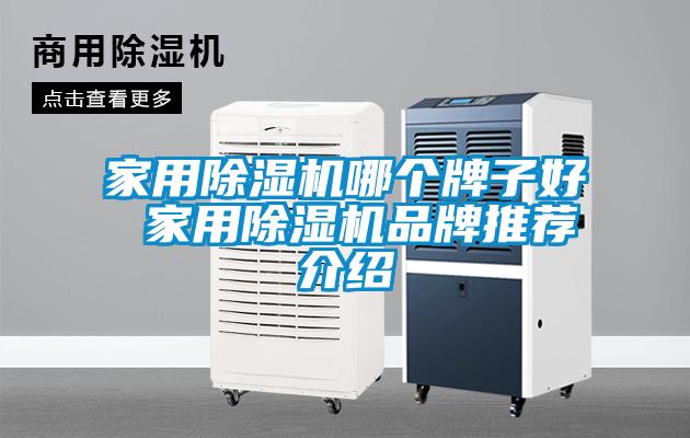 家用除濕機哪個牌子好 家用除濕機品牌推薦介紹