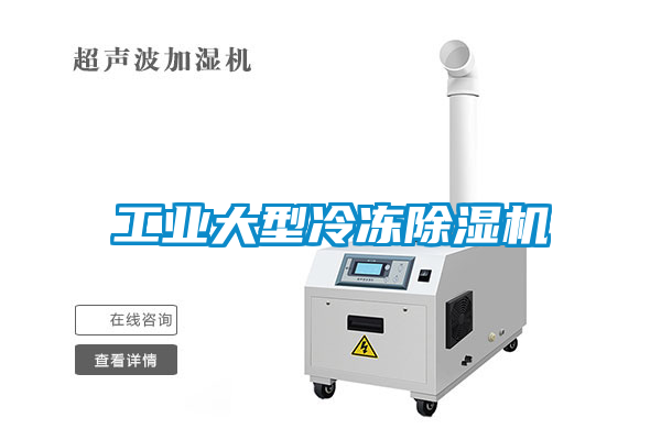 工業(yè)大型冷凍除濕機