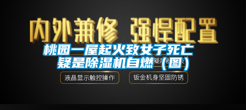 桃園一屋起火致女子死亡 疑是除濕機(jī)自燃（圖）