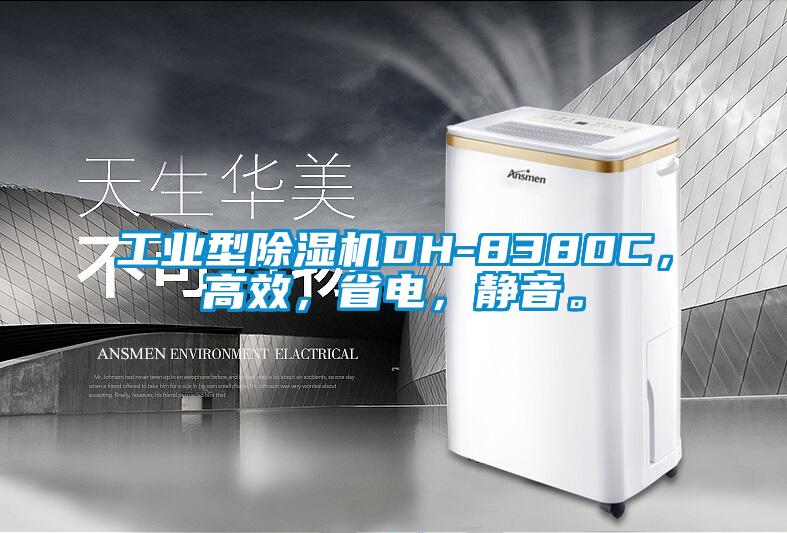 工業(yè)型除濕機DH-8380C，高效，省電，靜音。