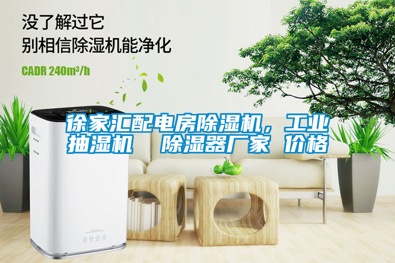 徐家匯配電房除濕機，工業(yè)抽濕機  除濕器廠家 價格