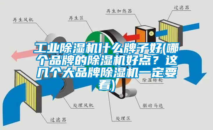 工業(yè)除濕機什么牌子好(哪個品牌的除濕機好點？這幾個大品牌除濕機一定要看)