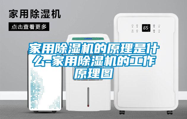 家用除濕機的原理是什么-家用除濕機的工作原理圖