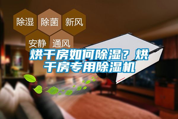 烘干房如何除濕？烘干房專用除濕機(jī)