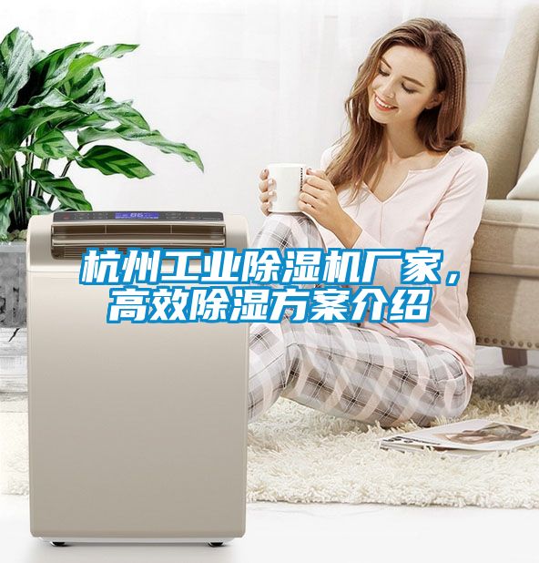 杭州工業(yè)除濕機廠家，高效除濕方案介紹