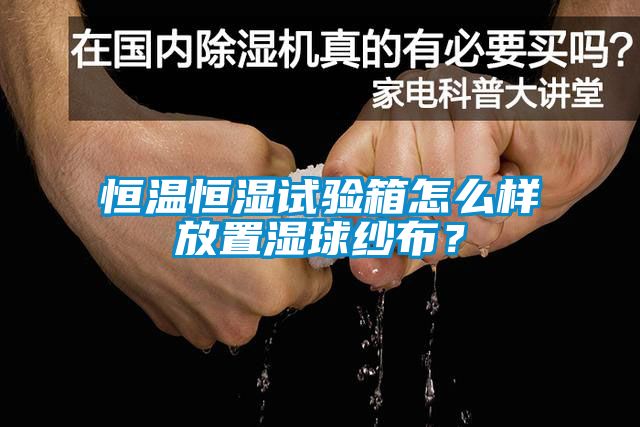 恒溫恒濕試驗箱怎么樣放置濕球紗布？