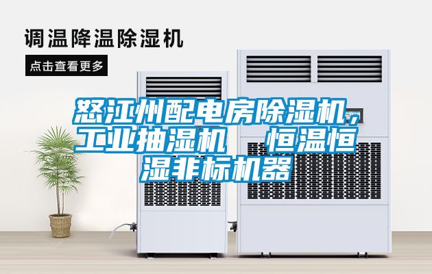 怒江州配電房除濕機，工業(yè)抽濕機  恒溫恒濕非標機器