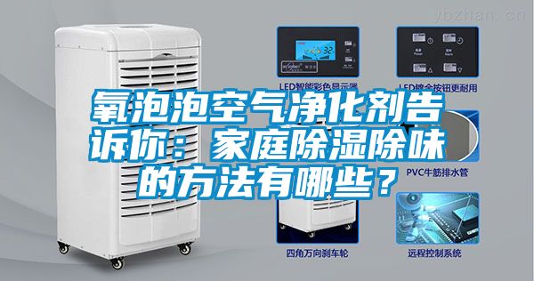 氧泡泡空氣凈化劑告訴你：家庭除濕除味的方法有哪些？