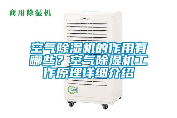 空氣除濕機的作用有哪些？空氣除濕機工作原理詳細介紹