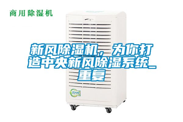 新風除濕機，為你打造中央新風除濕系統(tǒng)_重復