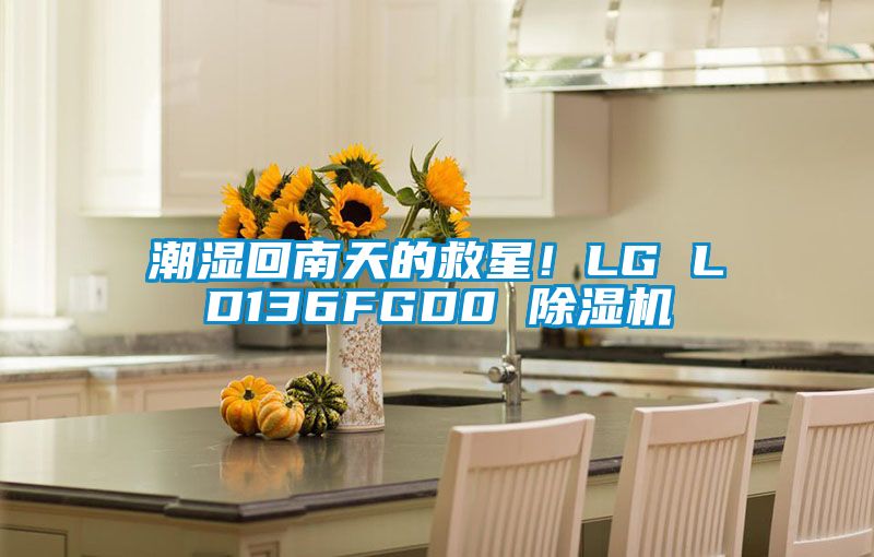 潮濕回南天的救星！LG LD136FGD0 除濕機(jī)