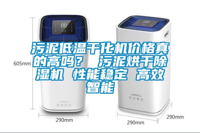 污泥低溫干化機價格真的高嗎？ 污泥烘干除濕機 性能穩(wěn)定 高效智能