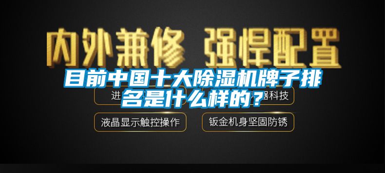 目前中國(guó)十大除濕機(jī)牌子排名是什么樣的？