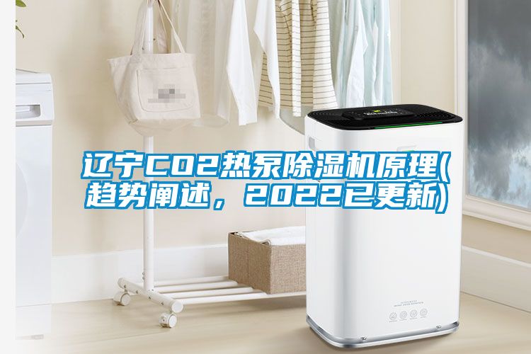 遼寧CO2熱泵除濕機(jī)原理(趨勢闡述，2022已更新)