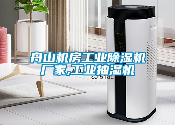 舟山機(jī)房工業(yè)除濕機(jī)廠家,工業(yè)抽濕機(jī)