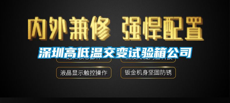 深圳高低溫交變?cè)囼?yàn)箱公司