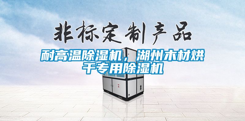 耐高溫除濕機(jī)，湖州木材烘干專用除濕機(jī)