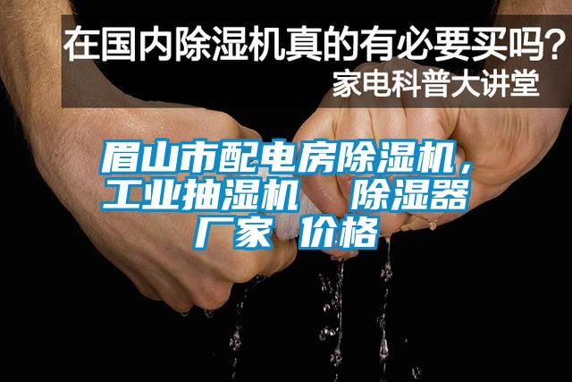 眉山市配電房除濕機(jī)，工業(yè)抽濕機(jī)  除濕器廠家 價(jià)格