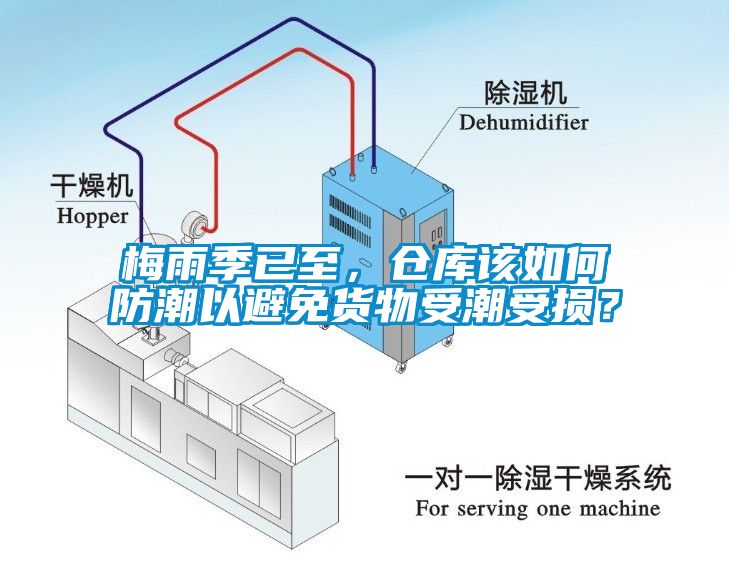 梅雨季已至，倉庫該如何防潮以避免貨物受潮受損？