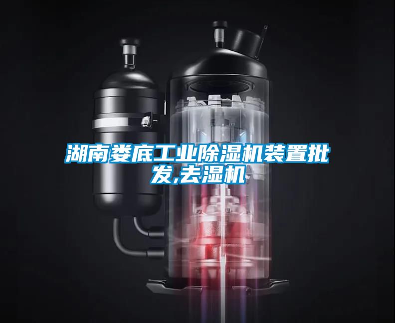 湖南婁底工業(yè)除濕機(jī)裝置批發(fā),去濕機(jī)