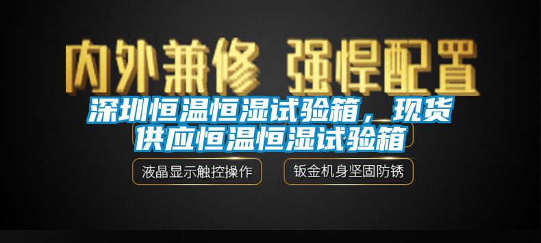 深圳恒溫恒濕試驗箱，現(xiàn)貨供應(yīng)恒溫恒濕試驗箱