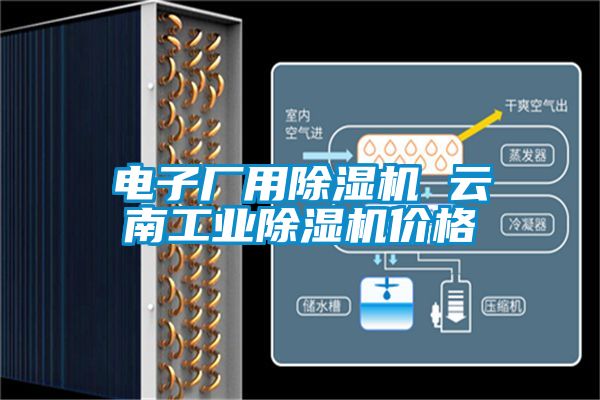 電子廠用除濕機 云南工業(yè)除濕機價格