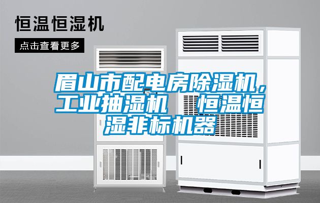 眉山市配電房除濕機(jī)，工業(yè)抽濕機(jī)  恒溫恒濕非標(biāo)機(jī)器