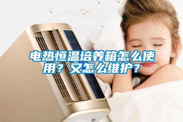 電熱恒溫培養(yǎng)箱怎么使用？又怎么維護(hù)？