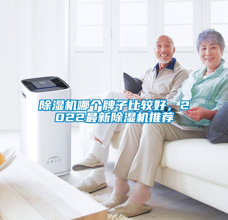 除濕機(jī)哪個牌子比較好，2022最新除濕機(jī)推薦