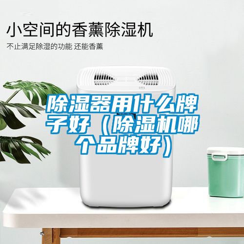 除濕器用什么牌子好（除濕機(jī)哪個品牌好）