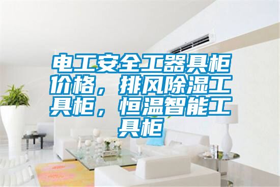 電工安全工器具柜價格，排風(fēng)除濕工具柜，恒溫智能工具柜