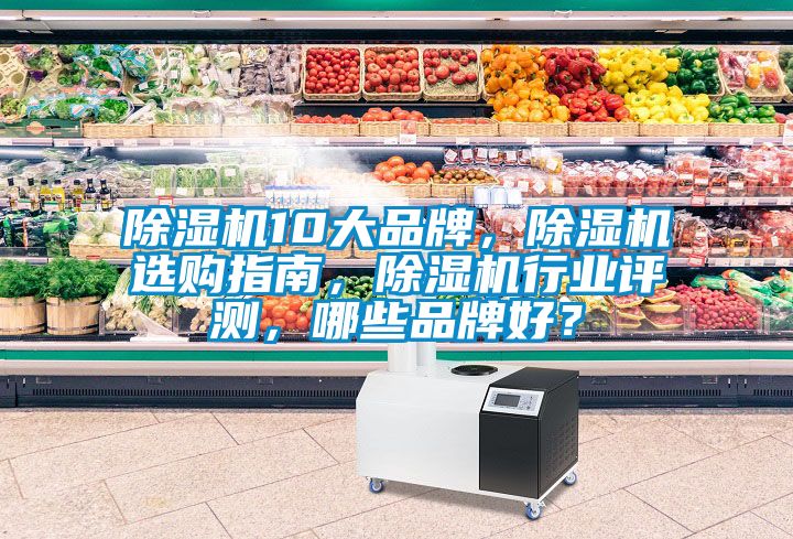 除濕機10大品牌，除濕機選購指南，除濕機行業(yè)評測，哪些品牌好？