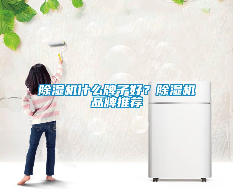 除濕機(jī)什么牌子好？除濕機(jī)品牌推薦