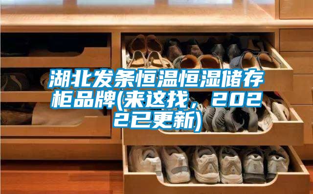 湖北發(fā)條恒溫恒濕儲存柜品牌(來這找，2022已更新)