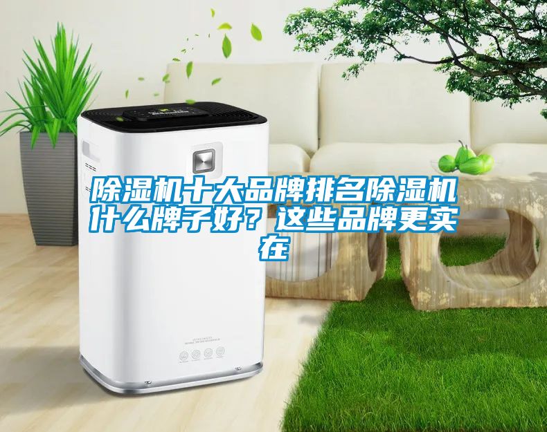 除濕機(jī)十大品牌排名除濕機(jī)什么牌子好？這些品牌更實(shí)在