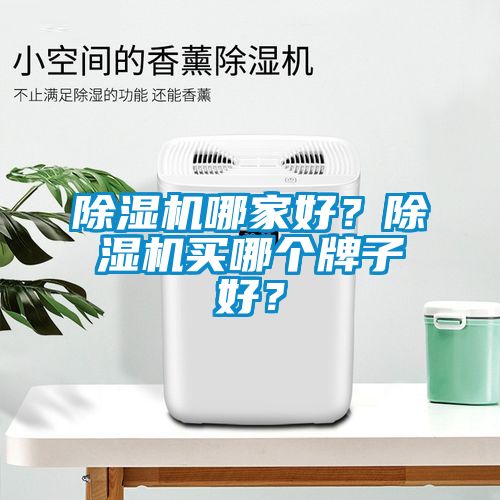 除濕機(jī)哪家好？除濕機(jī)買哪個(gè)牌子好？