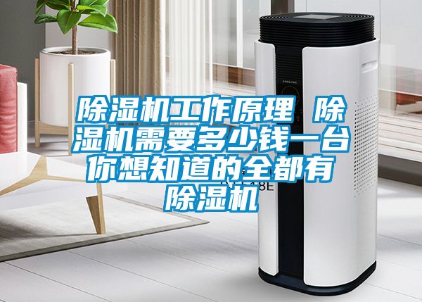 除濕機工作原理 除濕機需要多少錢一臺 你想知道的全都有 除濕機