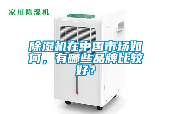 除濕機(jī)在中國市場如何，有哪些品牌比較好？