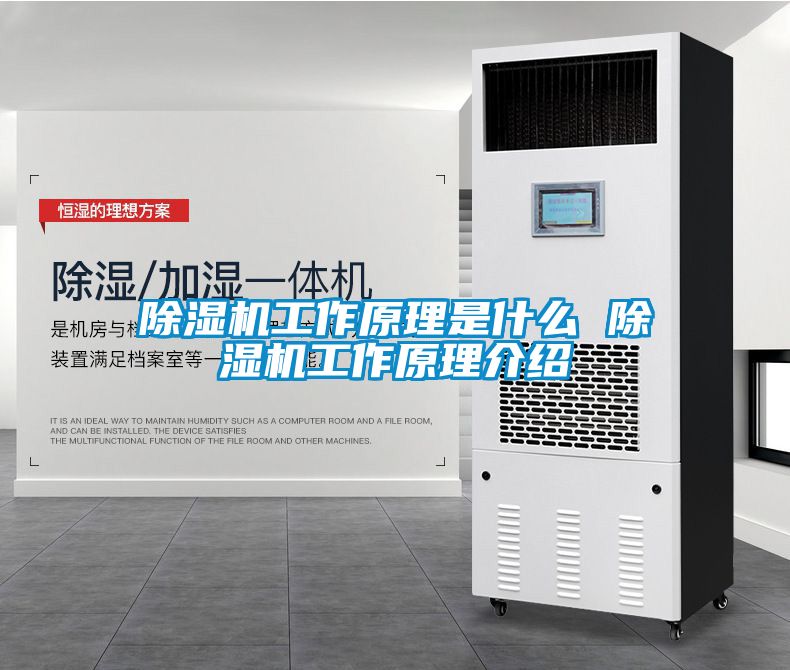 除濕機工作原理是什么 除濕機工作原理介紹