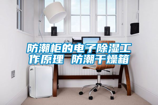 防潮柜的電子除濕工作原理 防潮干燥箱