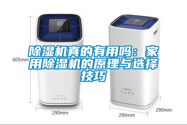 除濕機(jī)真的有用嗎：家用除濕機(jī)的原理與選擇技巧