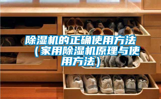 除濕機的正確使用方法（家用除濕機原理與使用方法）