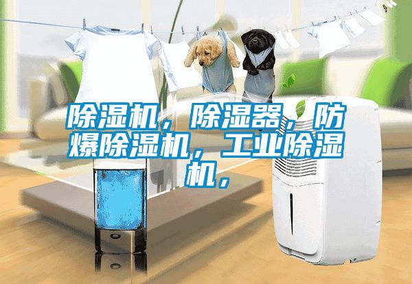 除濕機，除濕器，防爆除濕機，工業(yè)除濕機，