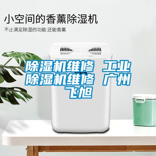 除濕機(jī)維修 工業(yè)除濕機(jī)維修 廣州飛旭