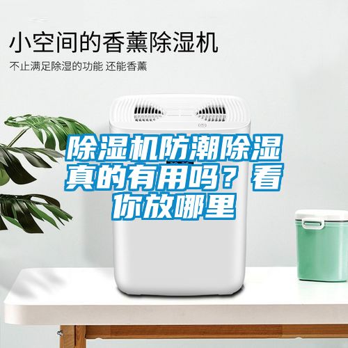 除濕機(jī)防潮除濕真的有用嗎？看你放哪里